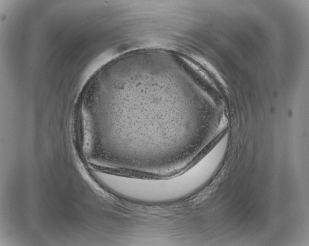 X0000081470991200701261958