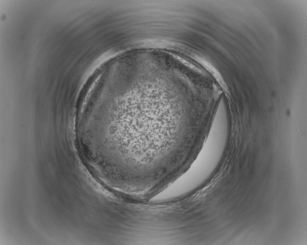 X0000081470992200701261958