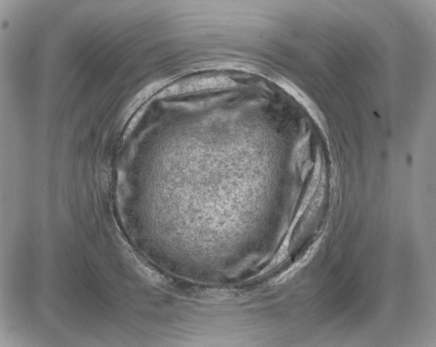 X0000081470993200701261958