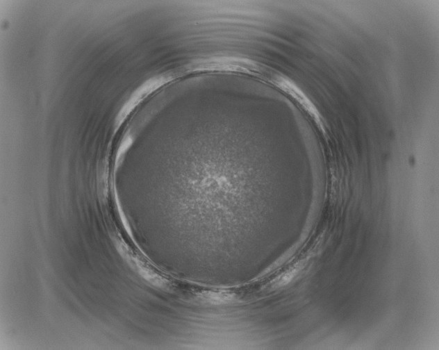 X0000081470994200701261958