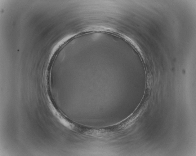 X0000081470995200701261958