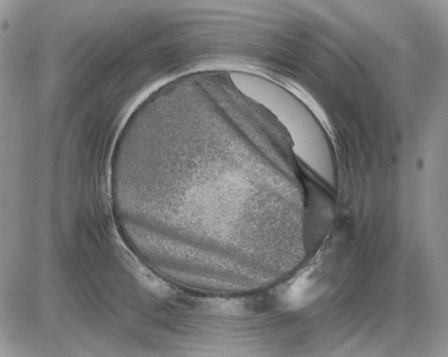 X0000081470996200701261958