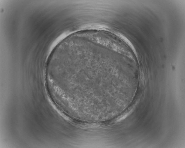 X0000081470997200701261958