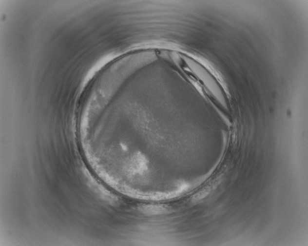 X0000081470998200701261958