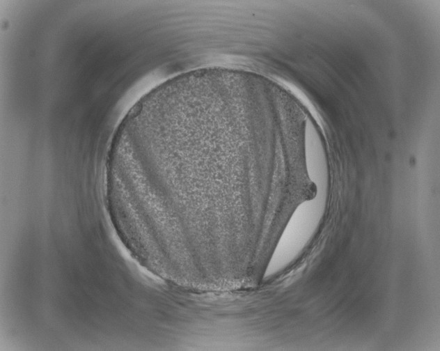 X0000081470999200701261958