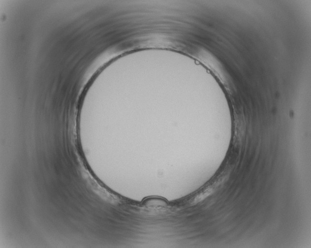 X0000081471000200701261958