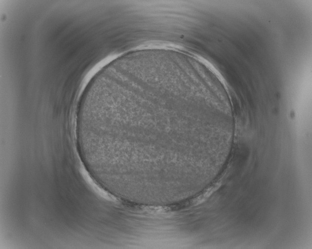 X0000081471003200701261958