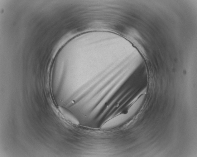 X0000081471004200701261958