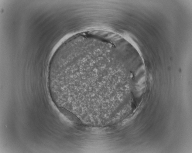 X0000081471005200701261958