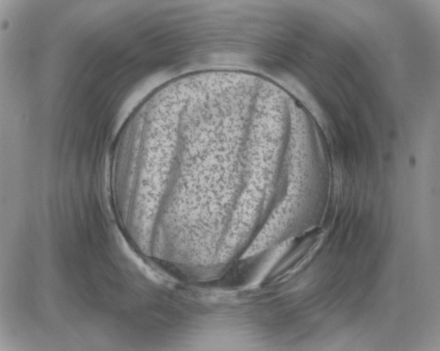 X0000081471006200701261958