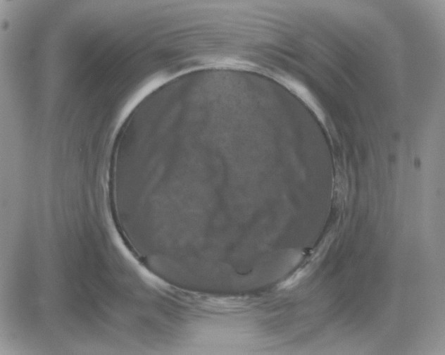 X0000081471007200701261958