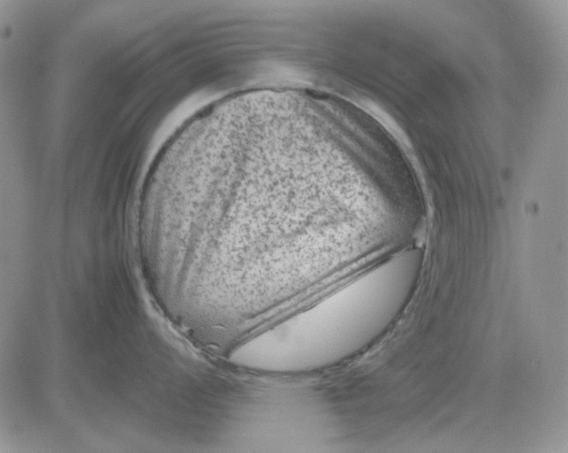 X0000081471008200701261958