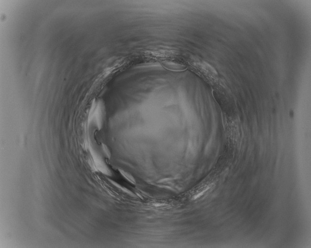 X0000081471009200701261957