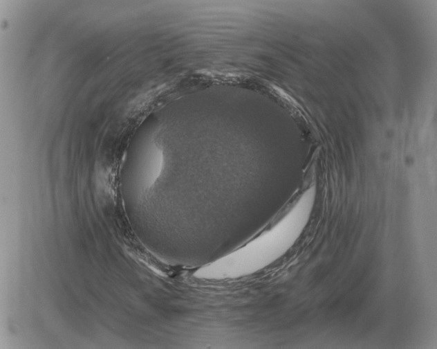 X0000081471010200701261957