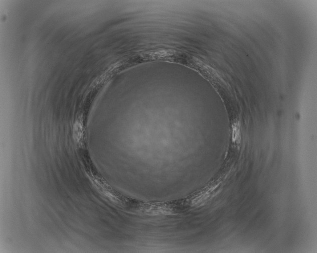 X0000081471011200701261957