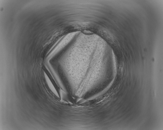 X0000081471012200701261957