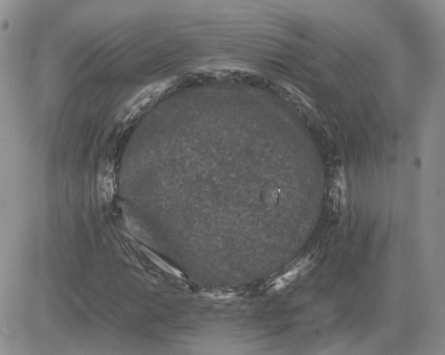 X0000081471014200701261957