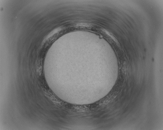 X0000081471015200701261957