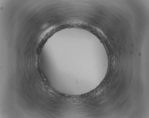 X0000081471016200701261957