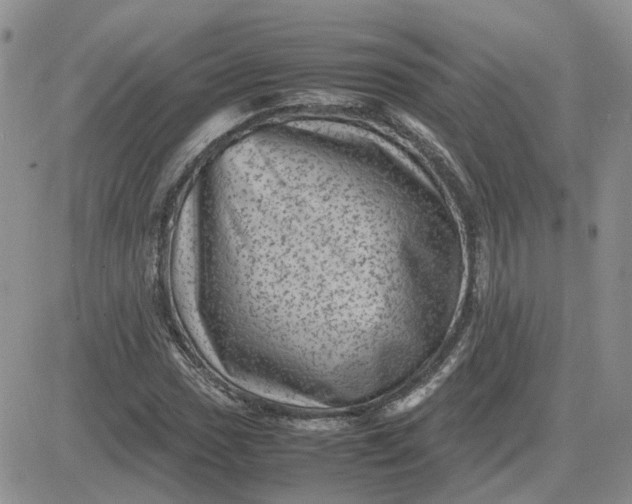 X0000081471017200701261957