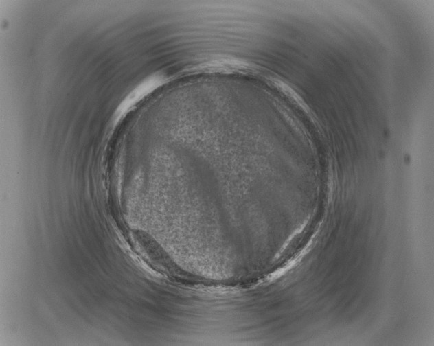 X0000081471018200701261957