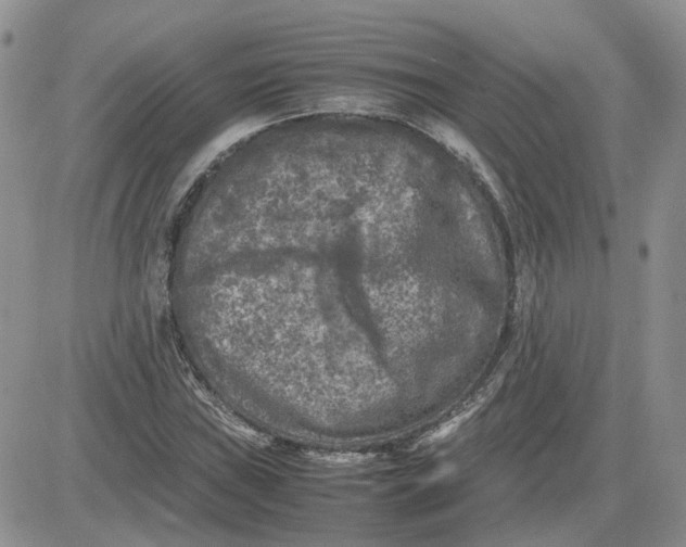 X0000081471019200701261957