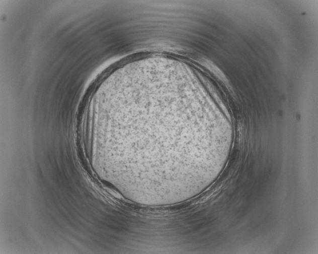 X0000081471020200701261957