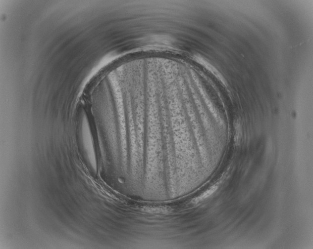 X0000081471021200701261957