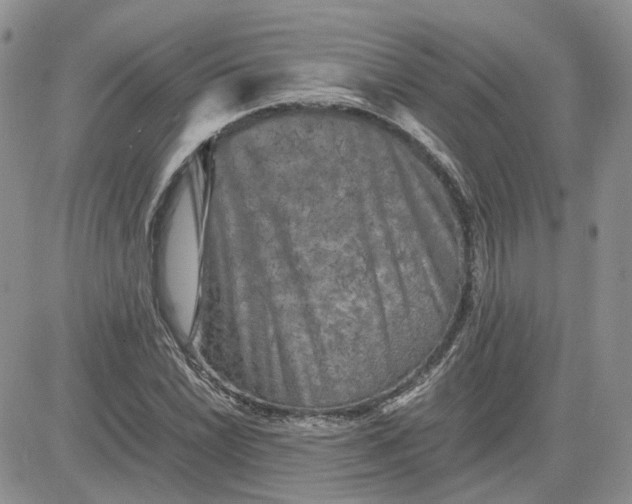 X0000081471022200701261957