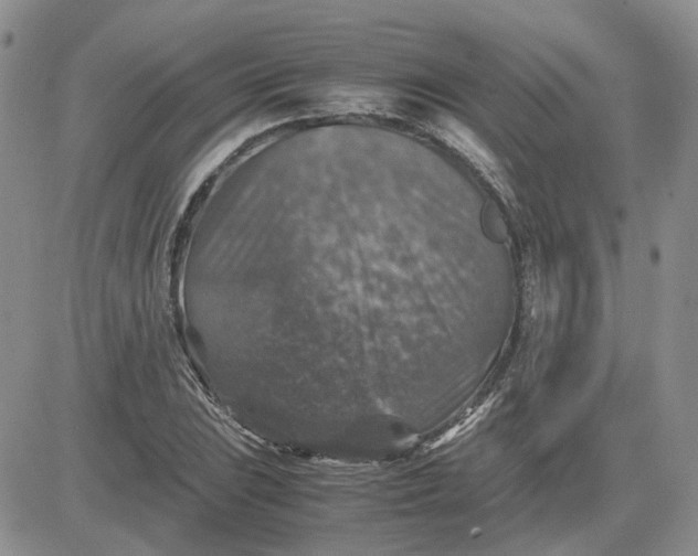 X0000081471023200701261957