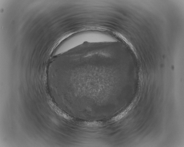 X0000081471025200701261958