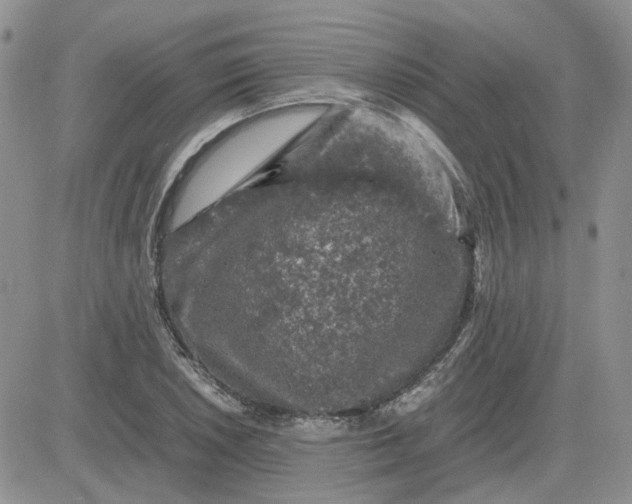 X0000081471026200701261958