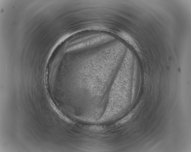 X0000081471029200701261958