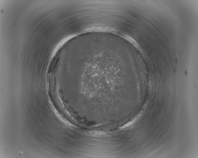 X0000081471030200701261958