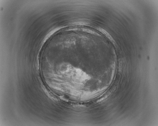 X0000081471031200701261958