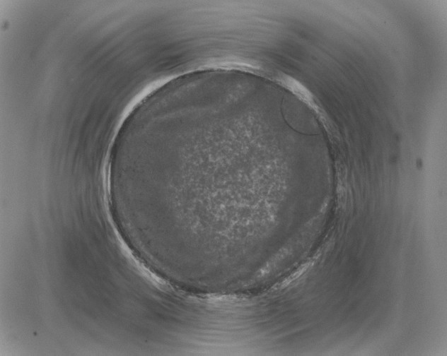 X0000081471032200701261958