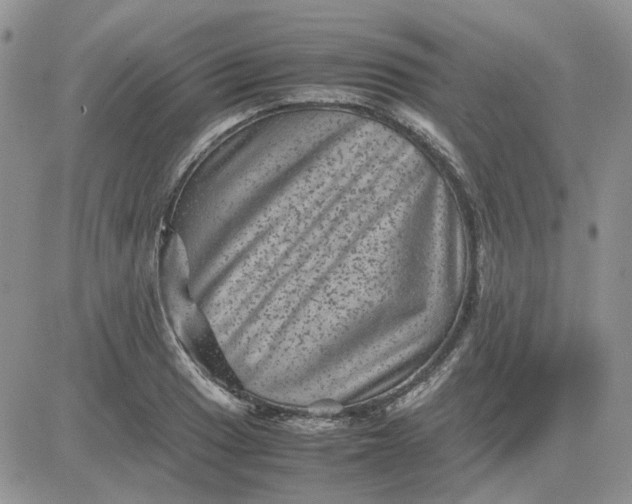 X0000081471033200701261958