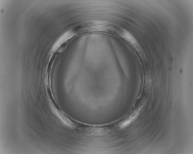 X0000081471034200701261958