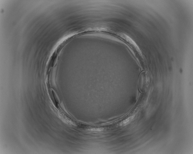 X0000081471035200701261958