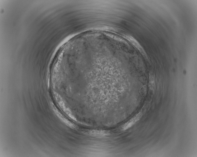 X0000081471036200701261958