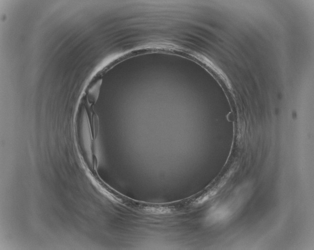 X0000081471037200701261958