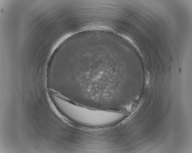 X0000081471038200701261958