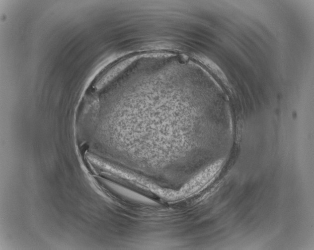 X0000081471039200701261958