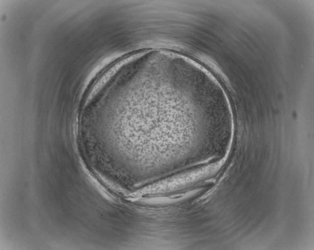 X0000081471040200701261958