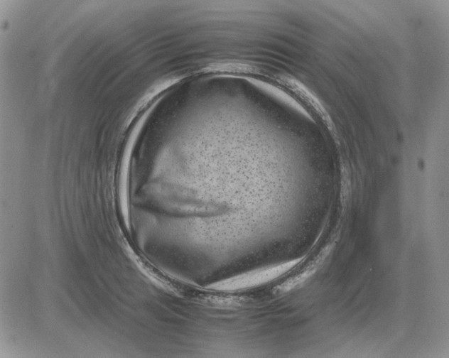 X0000081471041200701261958