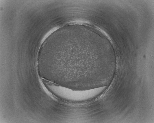 X0000081471042200701261958