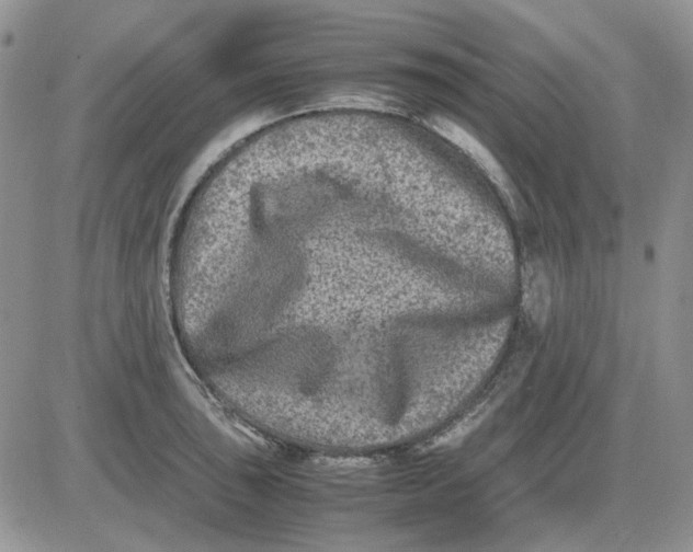 X0000081471043200701261958