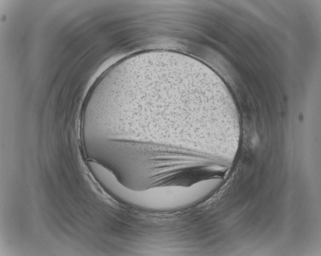 X0000081471044200701261958