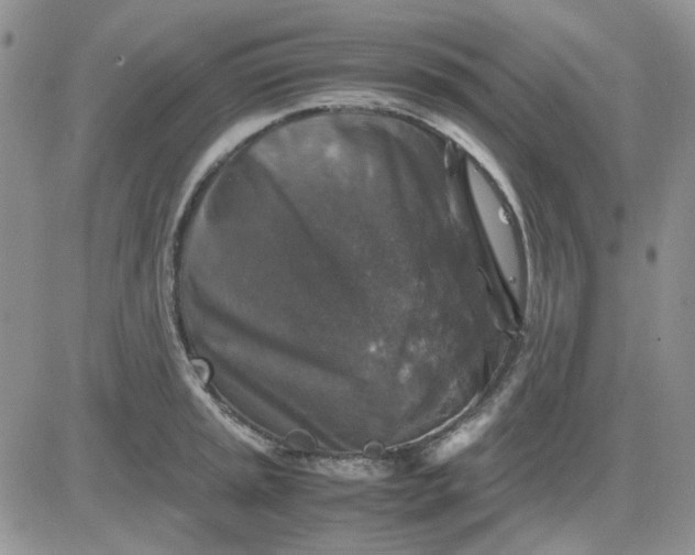 X0000081471045200701261958