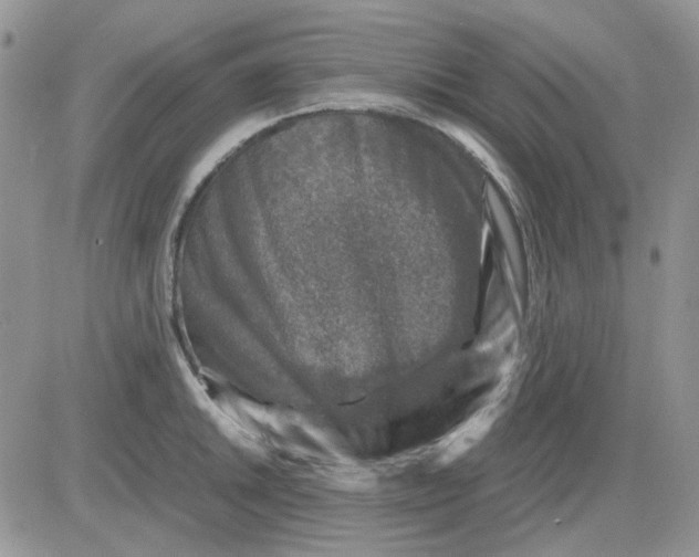 X0000081471046200701261958